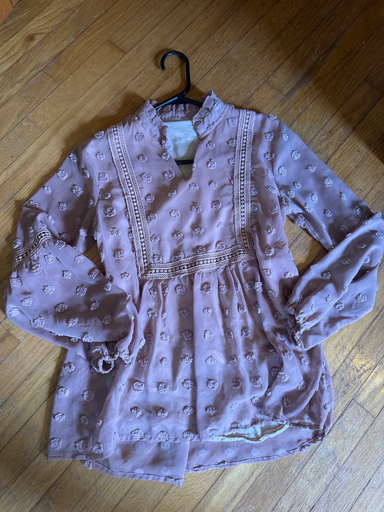 Amazon Women's Mauve Textured Swiss Dot Blouse